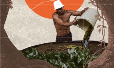 na-amazonia-67-dos-municipios-