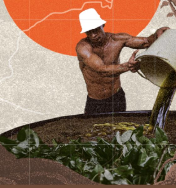 na-amazonia-67-dos-municipios-