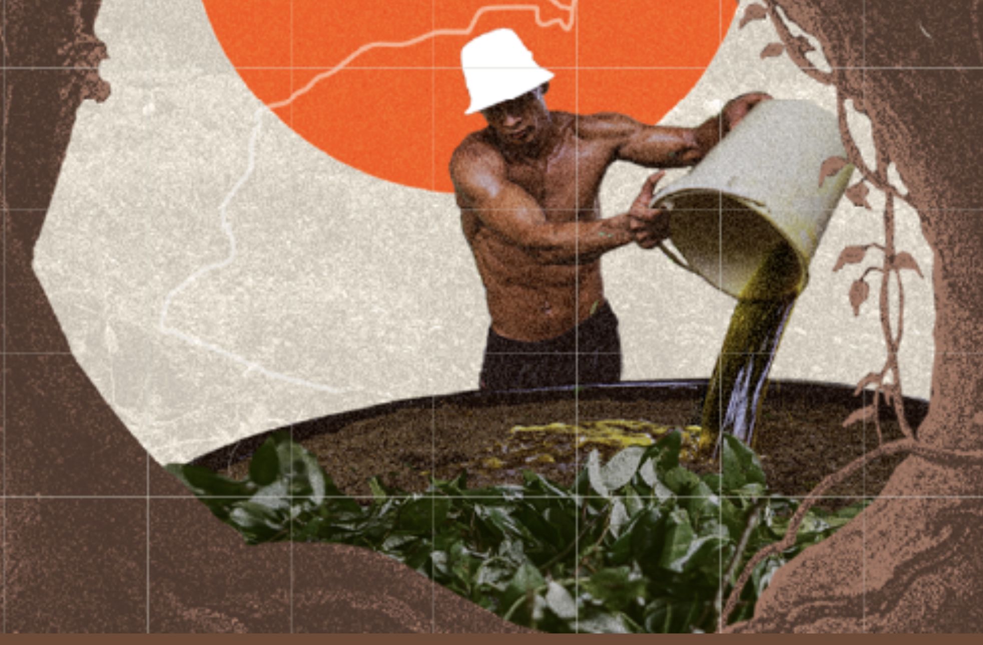 na-amazonia-67-dos-municipios-