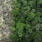 programa-restaura-amazonia-apr