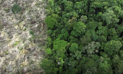 programa-restaura-amazonia-apr