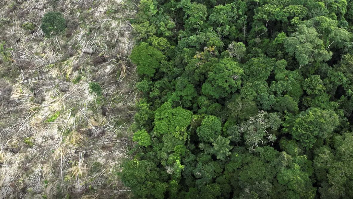 programa-restaura-amazonia-apr