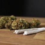 skunk-colombiano-que-entra-pel