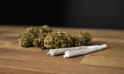 skunk-colombiano-que-entra-pel