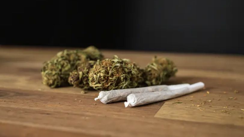 skunk-colombiano-que-entra-pel