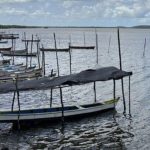 amazonas-tem-qua-licencas-de-p