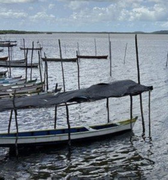 amazonas-tem-qua-licencas-de-p