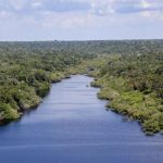 amazonia-registra-menor-indice