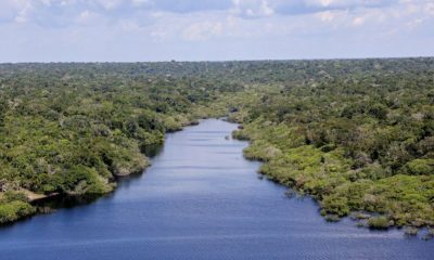 amazonia-registra-menor-indice