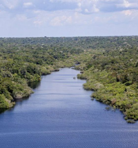 amazonia-registra-menor-indice