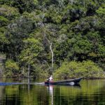 brasileiros-temem-que-outros-p