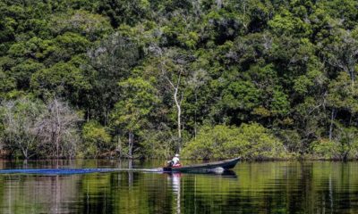 brasileiros-temem-que-outros-p