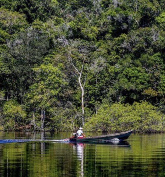 brasileiros-temem-que-outros-p