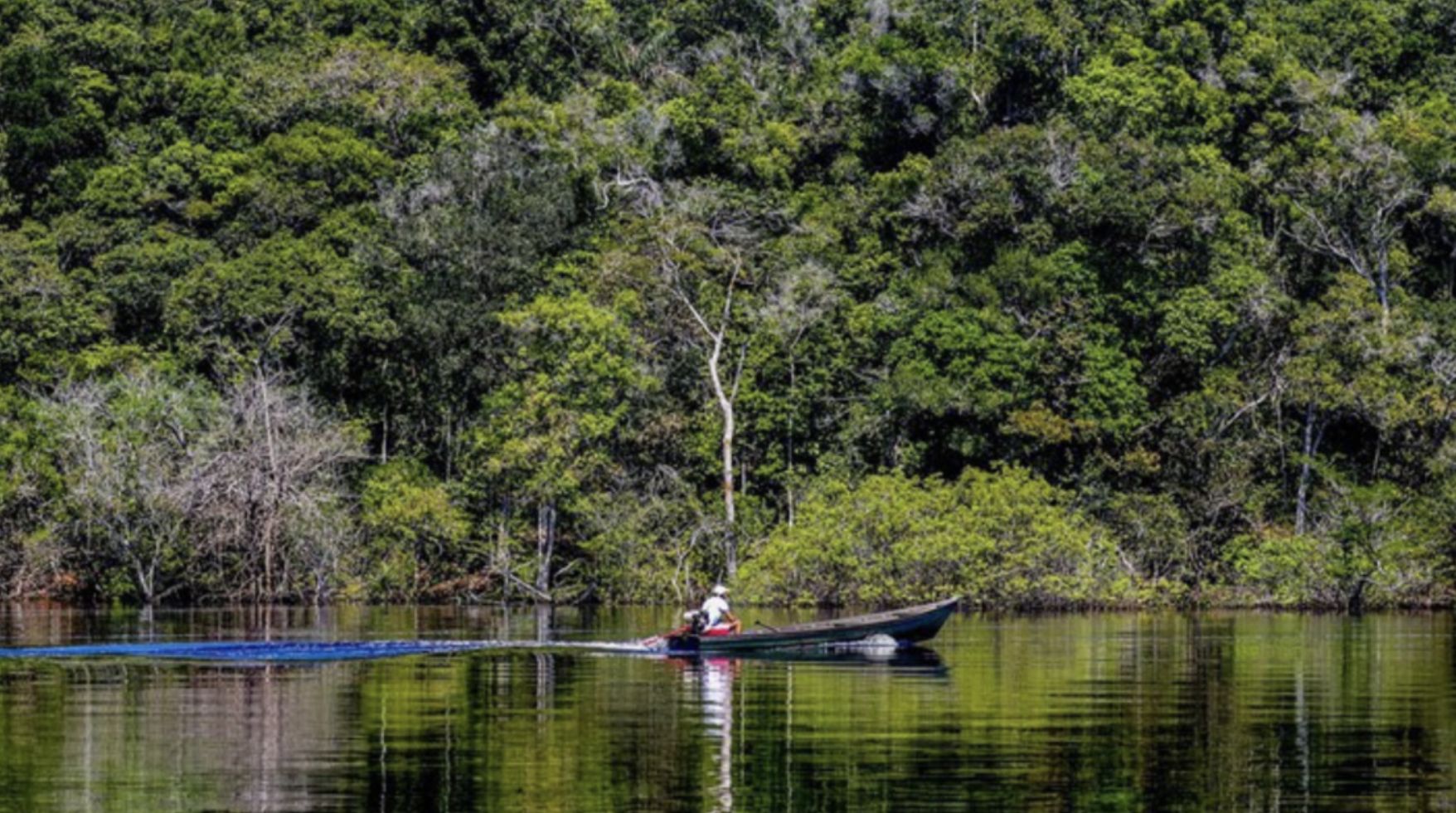 brasileiros-temem-que-outros-p