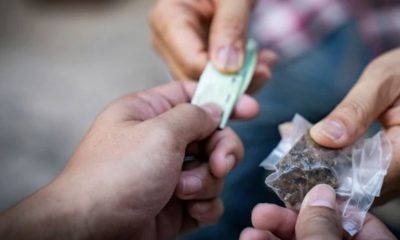 data-favela-33-dos-envolvidos-