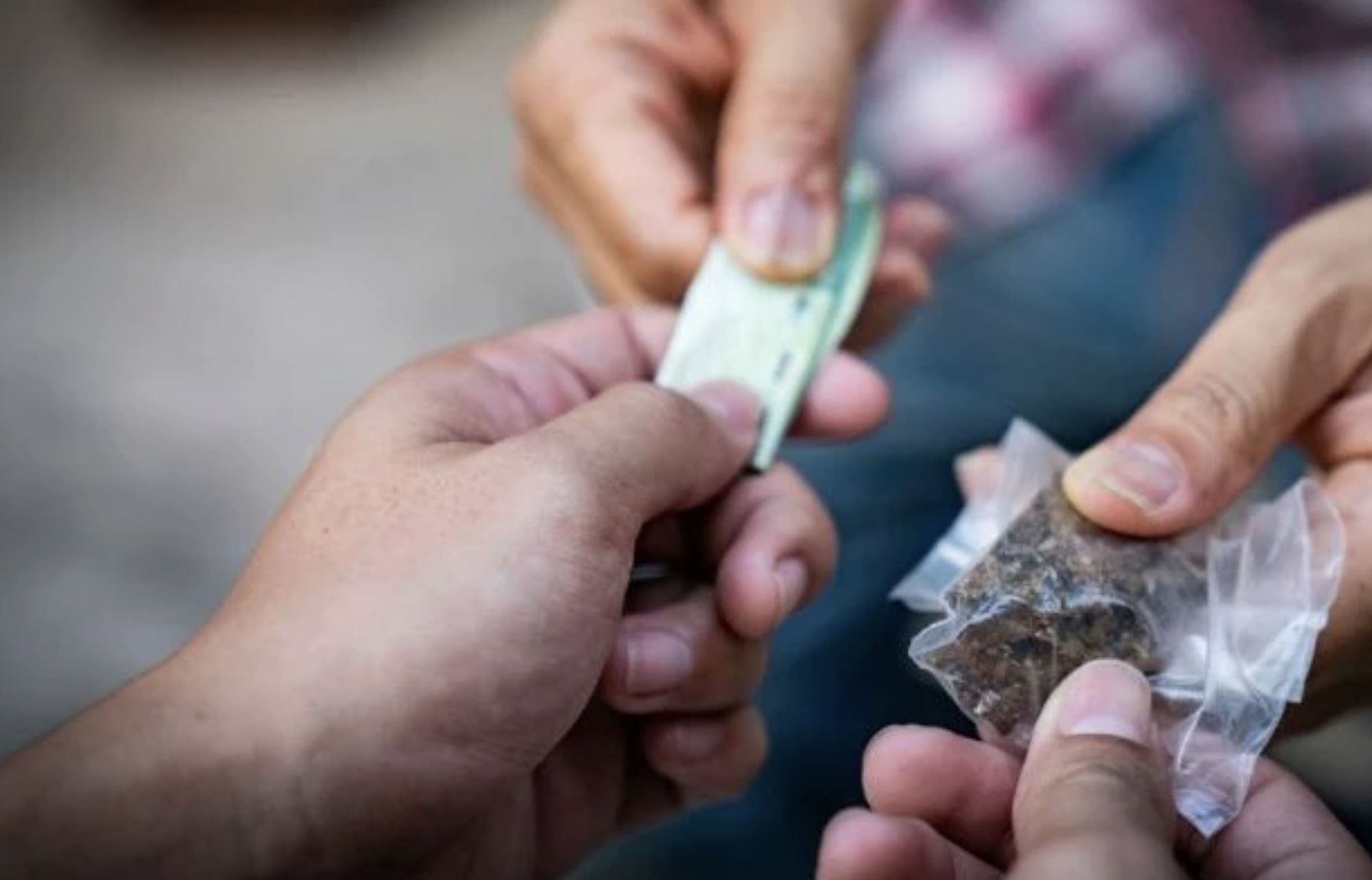 data-favela-33-dos-envolvidos-