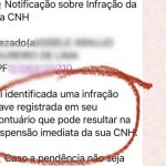 departamento-de-transito-do-am