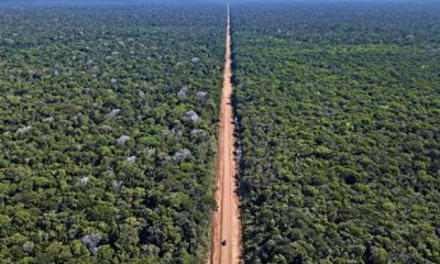 derrubada-de-vetos-pelo-congre