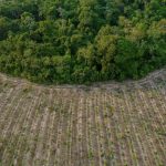 empresa-brasileira-vence-premi