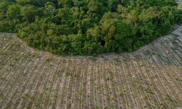 empresa-brasileira-vence-premi