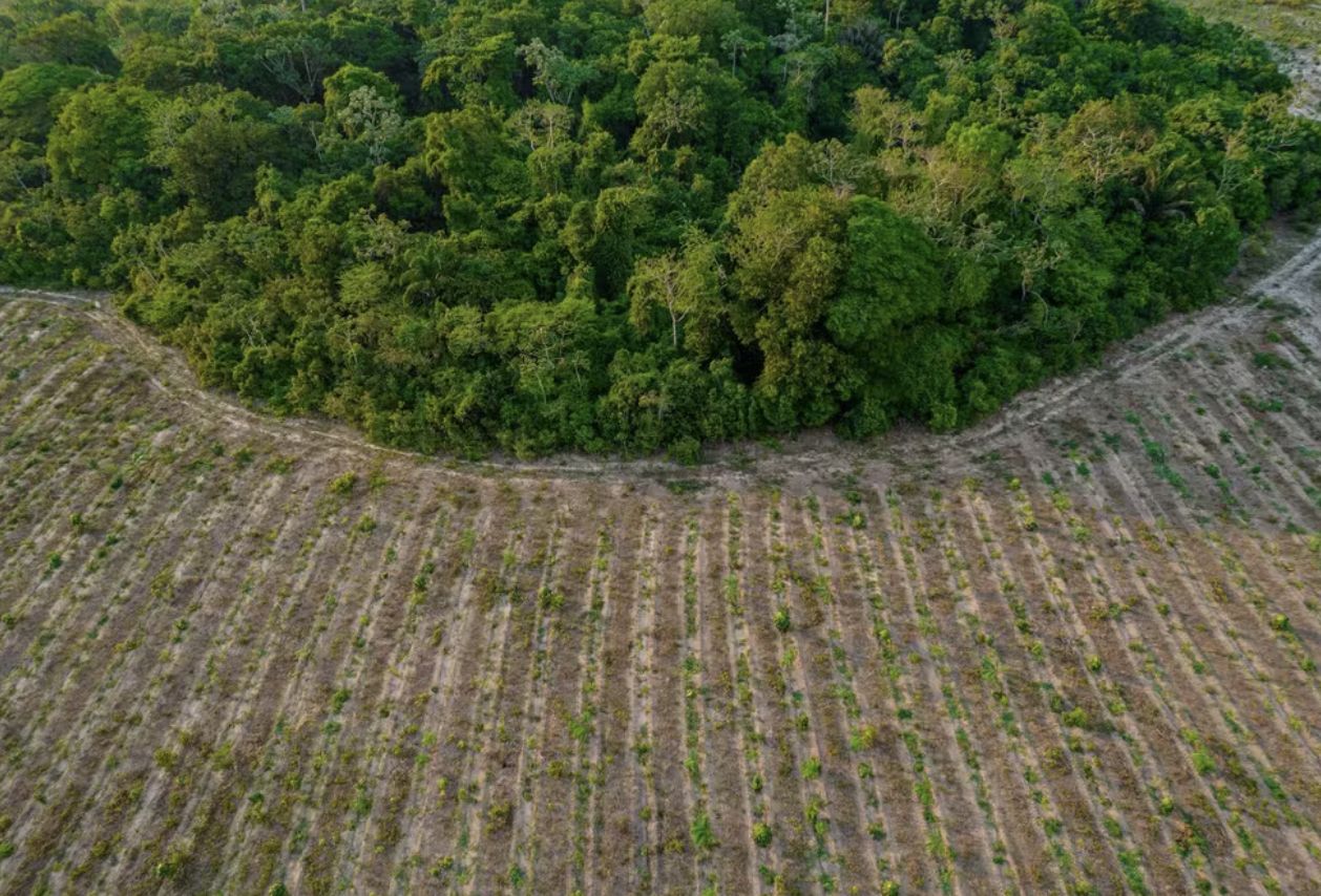 empresa-brasileira-vence-premi