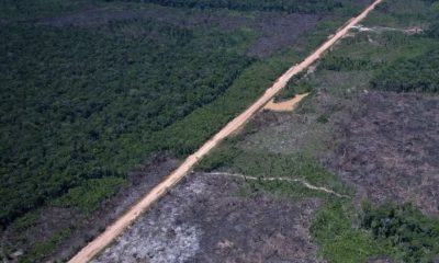 entidade-diz-que-estradas-ileg