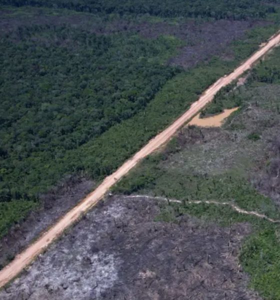 entidade-diz-que-estradas-ileg