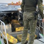 estudo-apresentado-na-cop-30-e