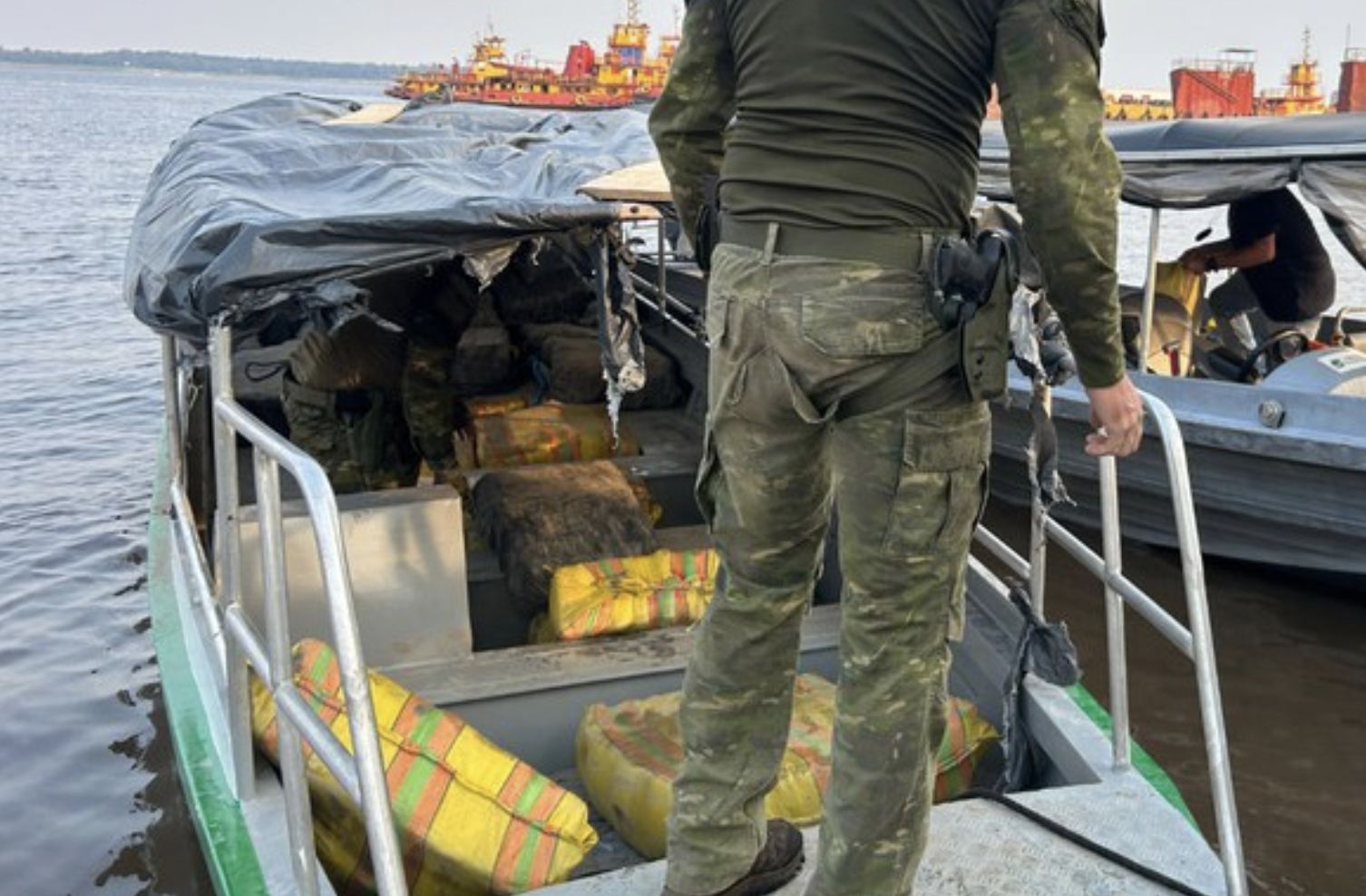 estudo-apresentado-na-cop-30-e