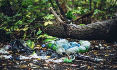 estudo-em-rds-do-amazonas-apon