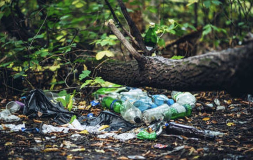 estudo-em-rds-do-amazonas-apon