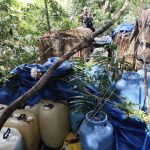 garimpo-e-narcotrafico-atuam-j