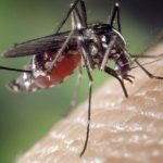 governo-federal-anuncia-invest