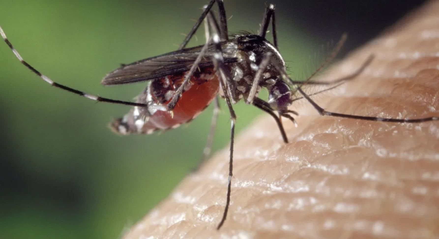 governo-federal-anuncia-invest