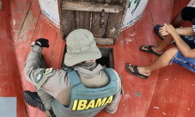 ibama-combate-produtos-perigos