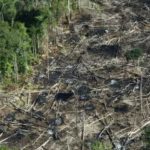 ibama-identifica-r-25-milhoes-