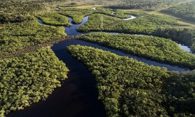 ibge-apresenta-retrato-das-uni