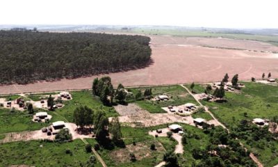 indigena-guarani-kaiowa-e-assa