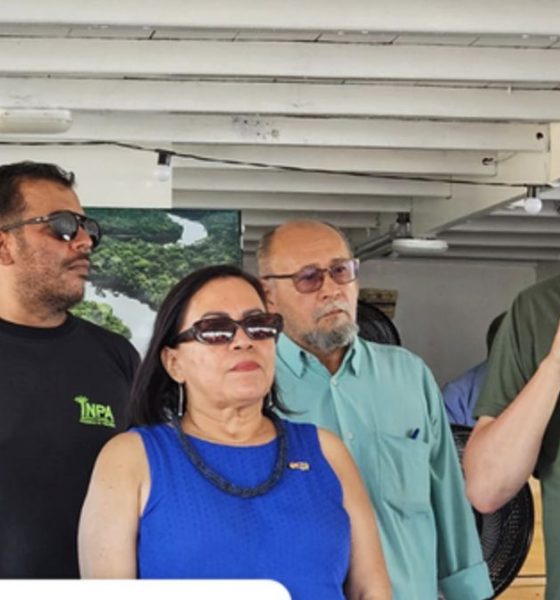 inpa-e-capes-lancam-primeira-p