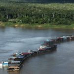 mineracao-ilegal-de-ouro-avanc