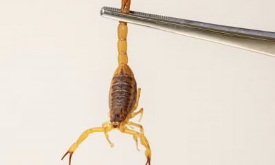 ministerio-alerta-para-aumento