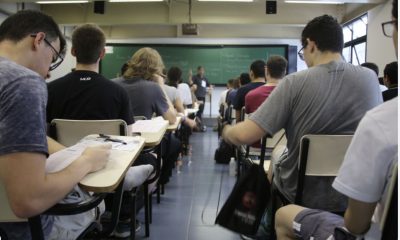 percentual-de-trabalhadores-br