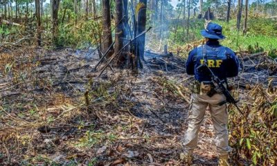 policia-rodoviaria-federal-fla
