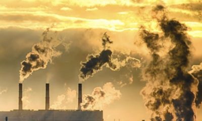 tceam-decide-que-ipaam-deve-ex