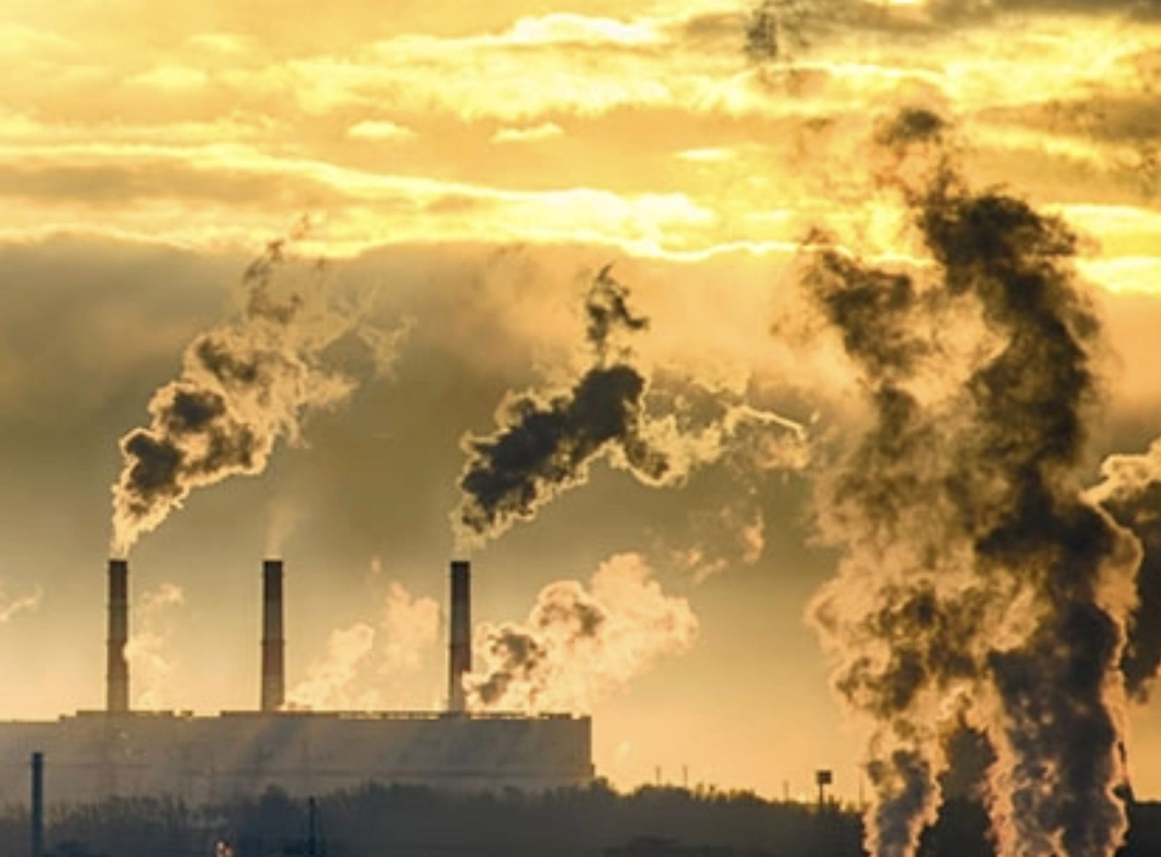 tceam-decide-que-ipaam-deve-ex