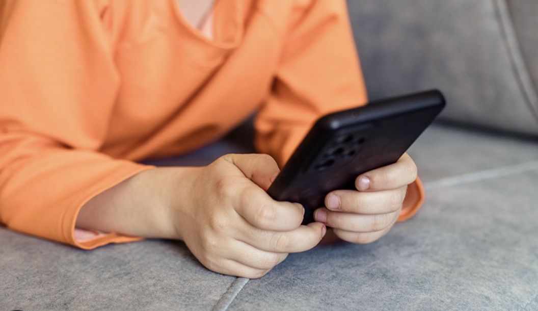 acesso-a-internet-na-primeira-