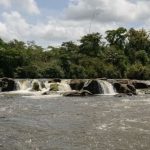 amazonia-registra-a-primeira-u