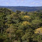 amazonia-registra-menor-desmat