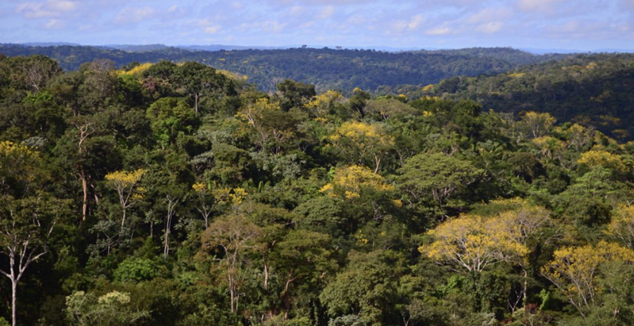 amazonia-registra-menor-desmat