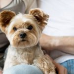 aprovadas-novas-regras-para-gu